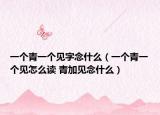 一個(gè)青一個(gè)見(jiàn)字念什么（一個(gè)青一個(gè)見(jiàn)怎么讀 青加見(jiàn)念什么）