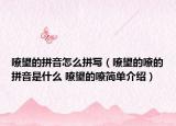 嘹望的拼音怎么拼寫(xiě)（嘹望的嘹的拼音是什么 嘹望的嘹簡(jiǎn)單介紹）