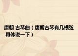 唐朝 古琴曲（唐朝古琴有幾根弦 具體說(shuō)一下）