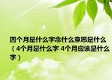 四個(gè)月是什么字念什么意思是什么（4個(gè)月是什么字 4個(gè)月應(yīng)該是什么字）