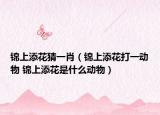 錦上添花猜一肖（錦上添花打一動(dòng)物 錦上添花是什么動(dòng)物）