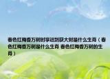 春色紅梅香萬(wàn)樹(shù)時(shí)享運(yùn)到獲大財(cái)是什么生肖（春色紅梅香萬(wàn)樹(shù)是什么生肖 春色紅梅香萬(wàn)樹(shù)的生肖）