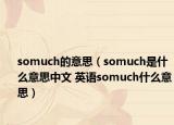 somuch的意思（somuch是什么意思中文 英語somuch什么意思）
