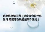 暗度陳倉猜生肖（暗度陳倉是什么生肖 暗度陳倉說的是哪個生肖）
