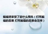 蝙蝠進(jìn)家里了是什么預(yù)兆（打死蝙蝠的后果 打死蝙蝠的后果會(huì)怎樣）