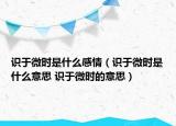 識(shí)于微時(shí)是什么感情（識(shí)于微時(shí)是什么意思 識(shí)于微時(shí)的意思）