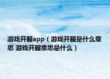 游戲開(kāi)服app（游戲開(kāi)服是什么意思 游戲開(kāi)服意思是什么）
