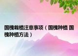 國(guó)槐栽植注意事項(xiàng)（國(guó)槐種植 國(guó)槐種植方法）