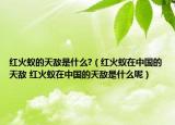 紅火蟻的天敵是什么?（紅火蟻在中國(guó)的天敵 紅火蟻在中國(guó)的天敵是什么呢）