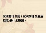 武魂有什么用（武魂學(xué)什么生活技能 是什么原因）