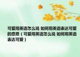 可愛用英語怎么說 如何用英語表達(dá)可愛的意思（可愛用英語怎么說 如何用英語表達(dá)可愛）