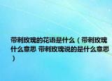 帶刺玫瑰的花語是什么（帶刺玫瑰什么意思 帶刺玫瑰說的是什么意思）