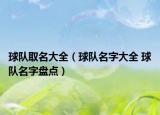 球隊(duì)取名大全（球隊(duì)名字大全 球隊(duì)名字盤點(diǎn)）