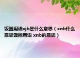 飯圈用語(yǔ)xjb是什么意思（xnb什么意思飯圈用語(yǔ) xnb的意思）