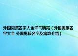 外國(guó)男孩名字大全洋氣響亮（外國(guó)男孩名字大全 外國(guó)男孩名字及寓意介紹）
