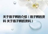 關(guān)于揚(yáng)子鱷的介紹（揚(yáng)子鱷的資料 關(guān)于揚(yáng)子鱷的資料）