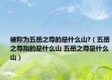 被稱為五岳之尊的是什么山?（五岳之尊指的是什么山 五岳之尊是什么山）