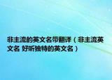 非主流的英文名帶翻譯（非主流英文名 好聽獨(dú)特的英文名）