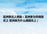 亞洲象北上原因（亞洲象為何組團(tuán)北上 亞洲象為什么組團(tuán)北上）