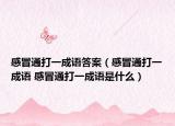 感冒通打一成語答案（感冒通打一成語 感冒通打一成語是什么）