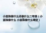 小露珠像什么還像什么二年級(jí)（小露珠像什么 小露珠像什么填空）