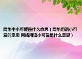 網(wǎng)絡中小可愛是什么意思（網(wǎng)絡用語小可愛的意思 網(wǎng)絡用語小可愛是什么意思）
