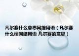 凡爾賽什么意思網(wǎng)絡(luò)用語（凡爾賽什么梗網(wǎng)絡(luò)用語 凡爾賽的意思）