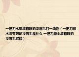 一把刀水里漂有眼睛沒眉毛打一動物（一把刀順?biāo)醒劬]眉毛是什么 一把刀順?biāo)醒劬]眉毛解釋）