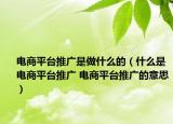 電商平臺(tái)推廣是做什么的（什么是電商平臺(tái)推廣 電商平臺(tái)推廣的意思）