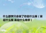 什么都學只會害了你是什么梗（害是什么梗 害是什么意思）