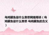 烏雞鲅魚是什么意思網(wǎng)絡(luò)用語（烏雞鲅魚是什么意思 烏雞鲅魚的含義）