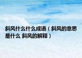 斜風什么什么成語（斜風的意思是什么 斜風的解釋）
