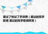 愛過了傷過了手語舞（愛過的雙手歌詞 愛過的雙手歌詞欣賞）
