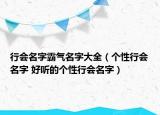 行會名字霸氣名字大全（個性行會名字 好聽的個性行會名字）