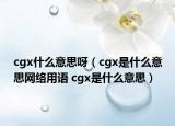 cgx什么意思呀（cgx是什么意思網(wǎng)絡(luò)用語(yǔ) cgx是什么意思）