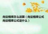 向量相乘怎么運算（向量相乘公式 向量相乘公式是什么）
