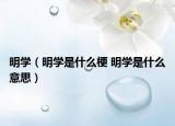 明學(xué)（明學(xué)是什么梗 明學(xué)是什么意思）