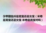 孕早期怕冷是男寶還是女寶（米奇是男寶還是女寶 米奇是男寶對(duì)嗎）