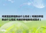 雞蛋里的卵細胞由什么組成（雞蛋的卵細胞由什么組成 雞蛋的卵細胞組成簡述）