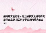 捅馬蜂窩的意思（周公解夢(mèng)夢(mèng)見(jiàn)捅馬蜂窩是什么意思 周公解夢(mèng)夢(mèng)見(jiàn)捅馬蜂窩的含義）