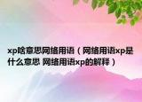 xp啥意思網(wǎng)絡(luò)用語（網(wǎng)絡(luò)用語xp是什么意思 網(wǎng)絡(luò)用語xp的解釋）