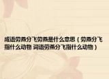成語(yǔ)勞燕分飛勞燕是什么意思（勞燕分飛指什么動(dòng)物 詞語(yǔ)勞燕分飛指什么動(dòng)物）