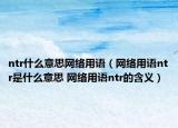ntr什么意思網(wǎng)絡(luò)用語(yǔ)（網(wǎng)絡(luò)用語(yǔ)ntr是什么意思 網(wǎng)絡(luò)用語(yǔ)ntr的含義）