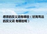 感恩的反義詞有哪些（好高騖遠的反義詞 有哪些呢）