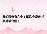 參的讀音有幾個(gè)（柘幾個(gè)讀音 柘字簡單介紹）