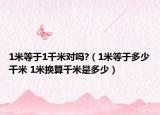 1米等于1千米對嗎?（1米等于多少千米 1米換算千米是多少）