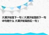 大漠沙如雪下一句（大漠沙如雪的下一句詩句是什么 大漠沙如雪的后一句）