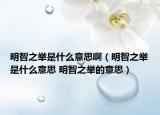 明智之舉是什么意思?。髦侵e是什么意思 明智之舉的意思）