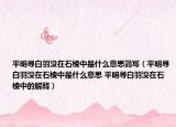 平明尋白羽沒在石棱中是什么意思簡寫（平明尋白羽沒在石棱中是什么意思 平明尋白羽沒在石棱中的解釋）