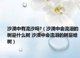 沙漠中有流沙嗎?（沙漠中會(huì)流淚的樹是什么樹 沙漠中會(huì)流淚的樹是啥樹）
